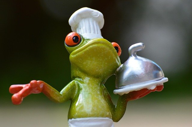 Découverte de Produits et Accessoires à Base de Canard en France