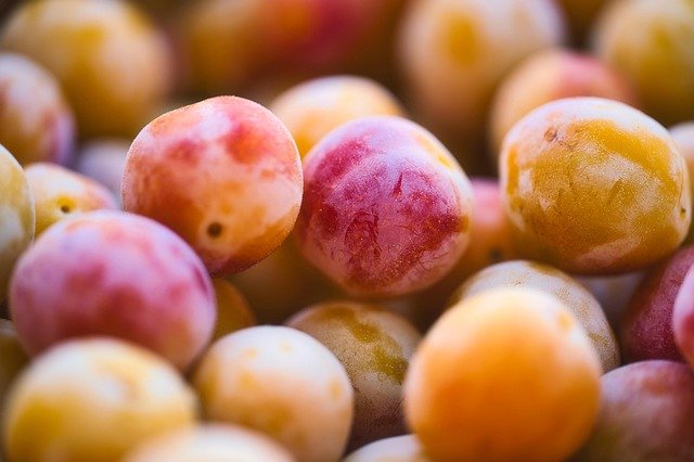 The Power of Plant-Based Diets: A Sustainable Solution for Health and Environment