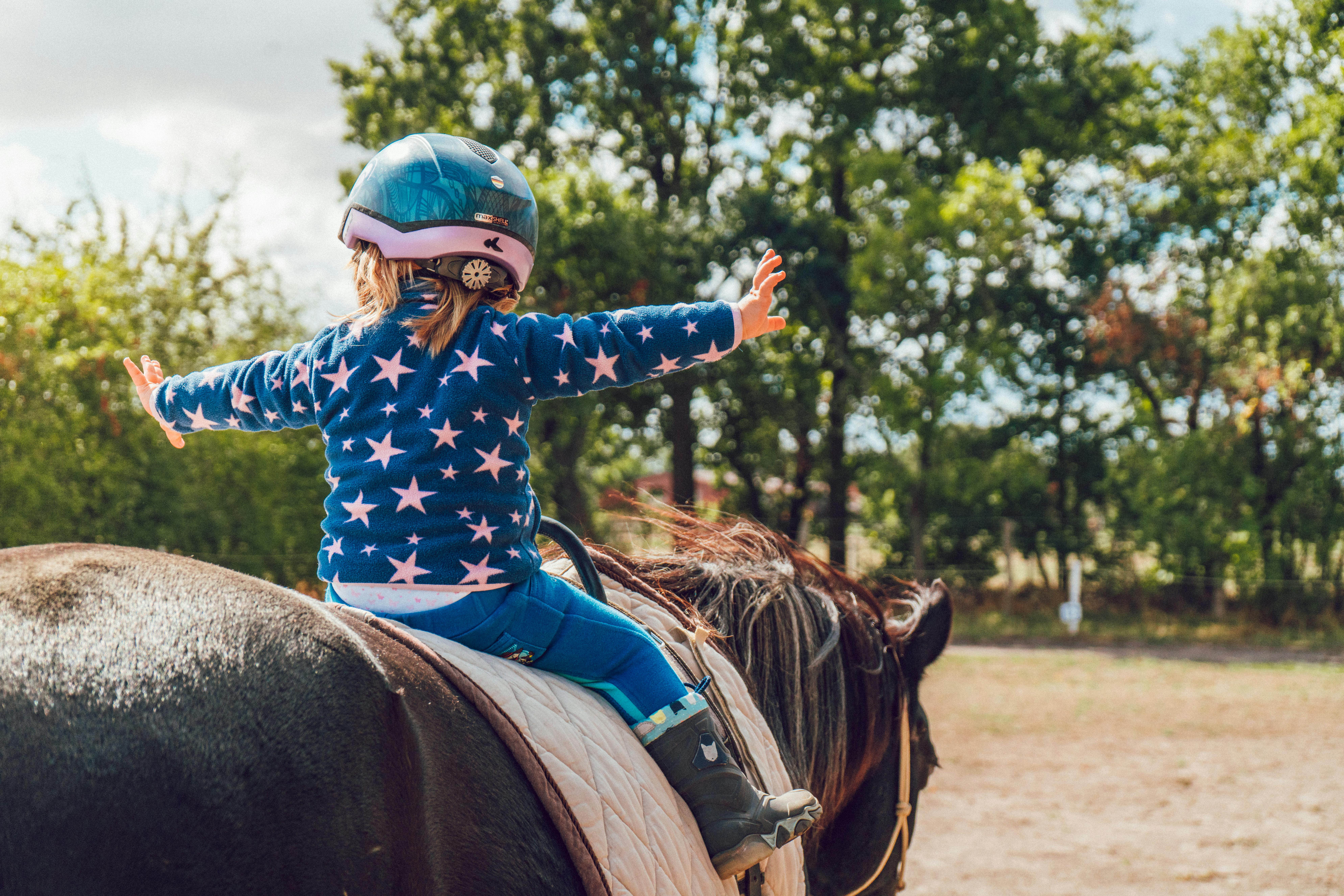 The Intricacies of Equine Therapy: A Profound Bond Between Horses and Humans