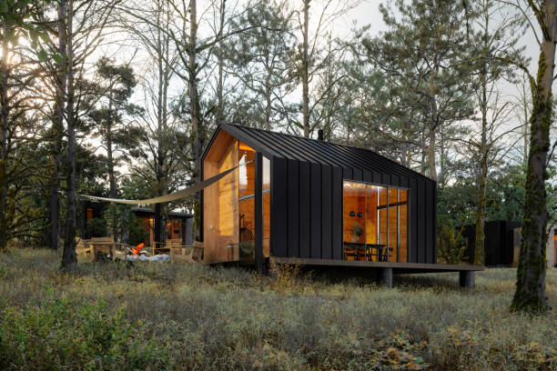 Deciphering the Rise of Tiny Homes: A New Wave in Real Estate
