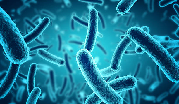 Probiotics in Beauty and Fitness: The Unseen Power of Microorganisms