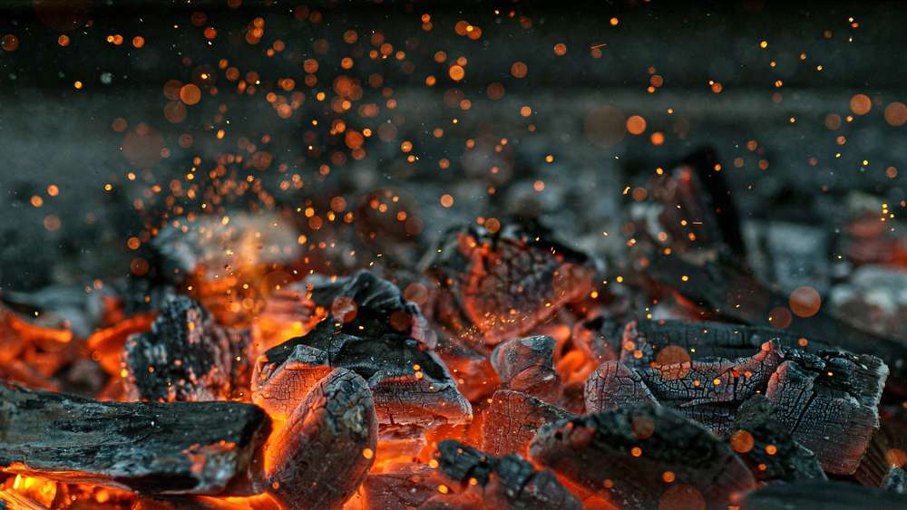 Mastering the Art of Gourmet BBQ