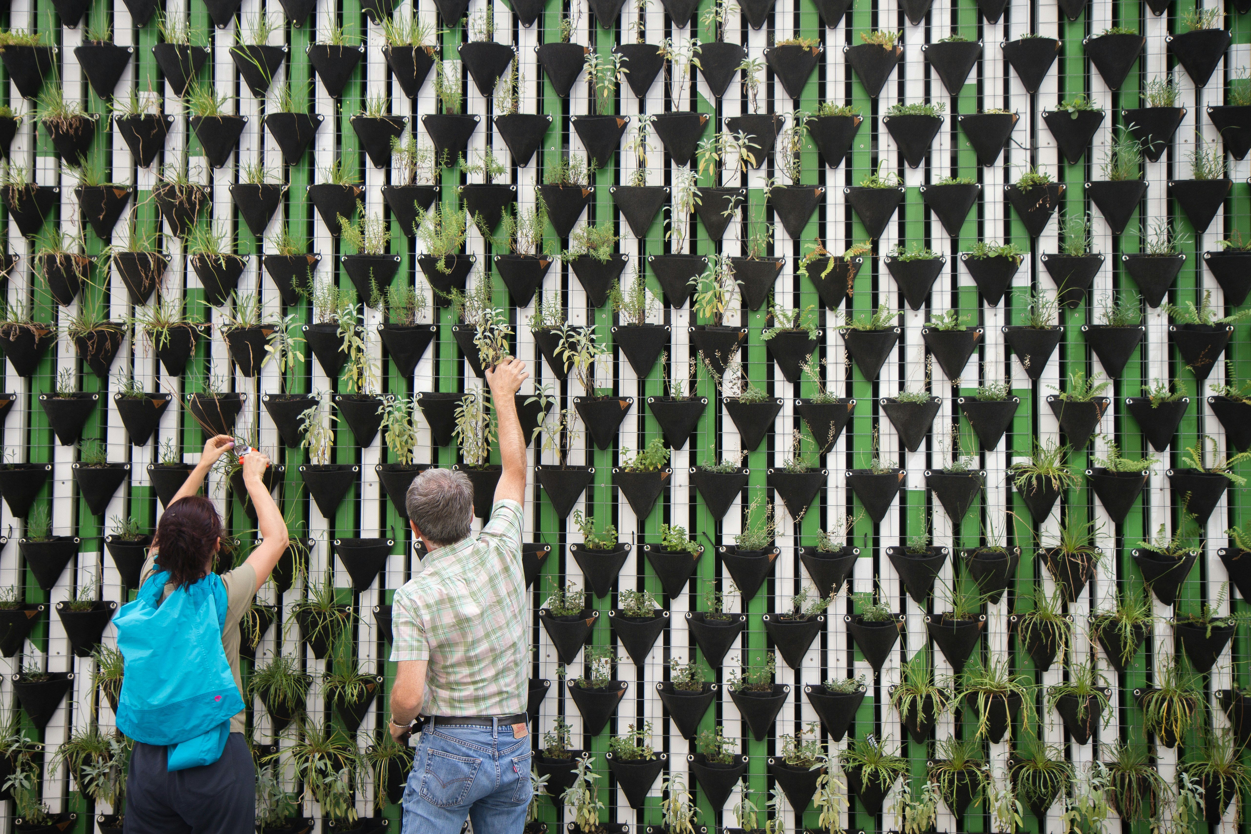 A New Dimension: Virtual Landscaping Tools Redefining Home Gardens