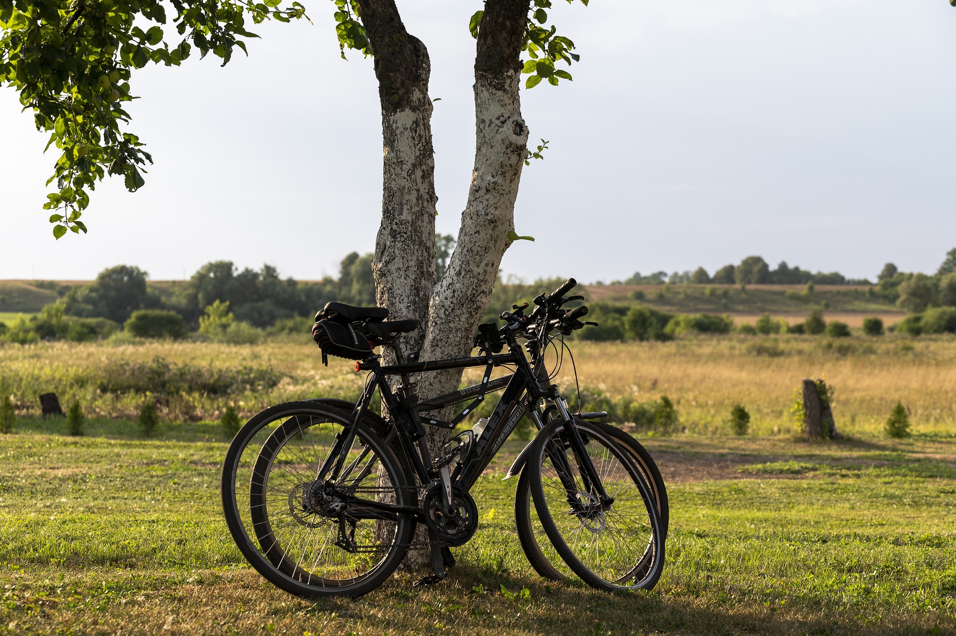 Sustainable Travel Practices: How to Be an Eco-Conscious Traveler