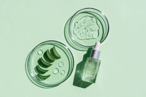 Savoring the Splendor of Sustainable Beauty: An In-Depth Look into the Growing Green Cosmetic Industry