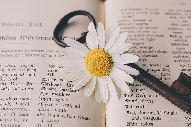Translation Services – Clear and Structured Roles for Seniors in the UK