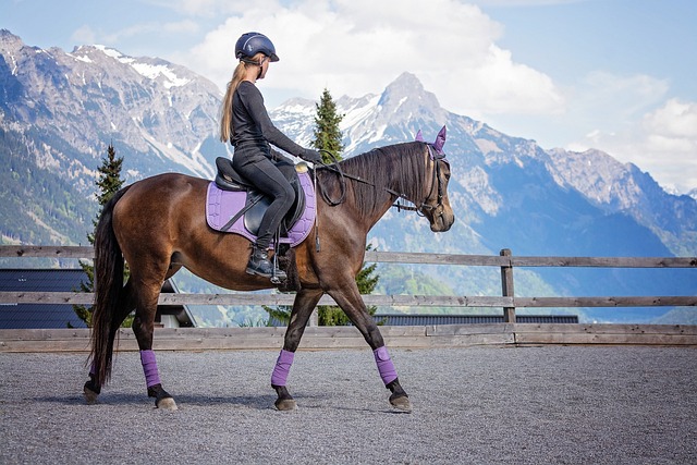 Rediscovering the Charm of Horseback Travel: A Journey through Time