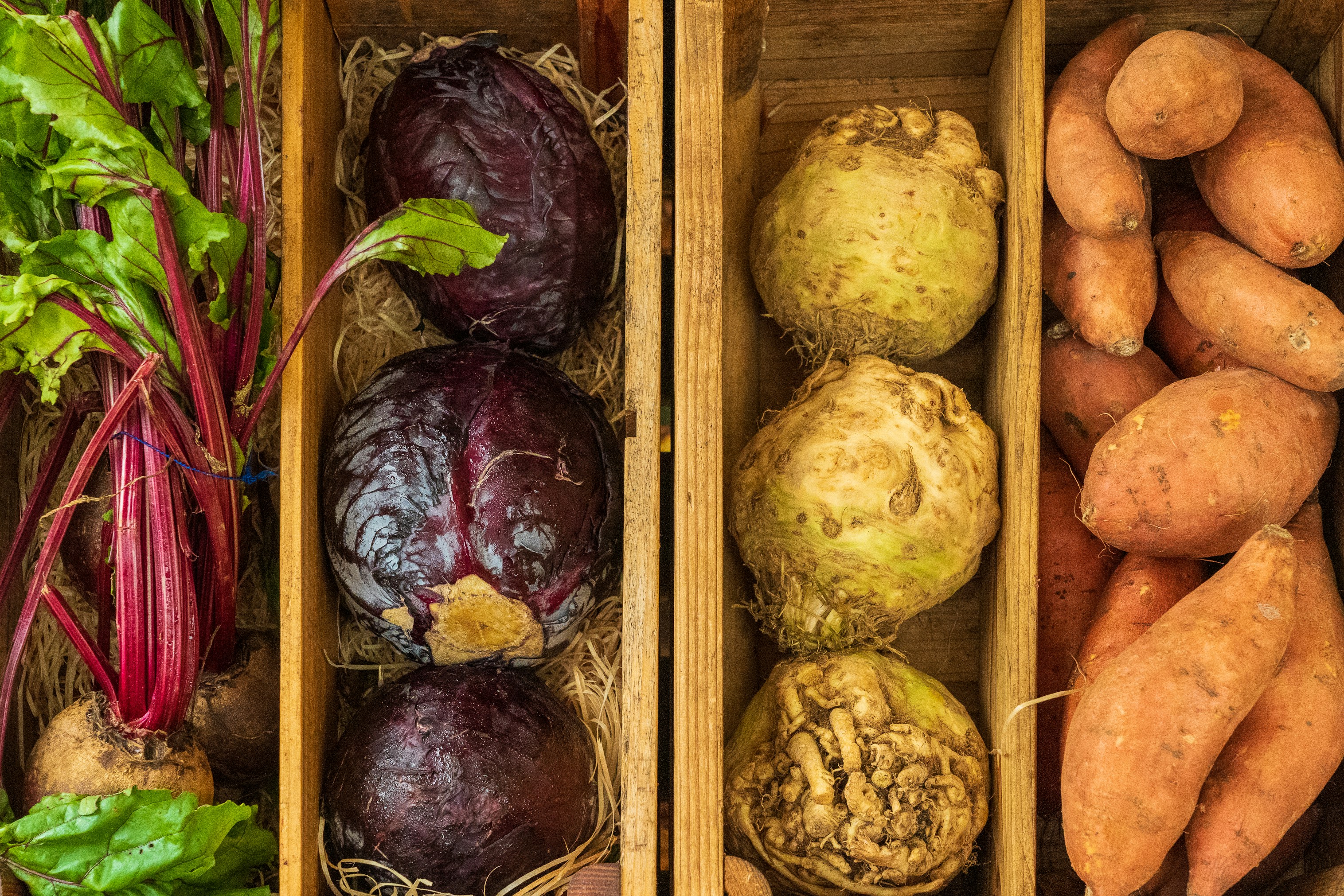 Rediscovering Root Vegetables: The Unsung Heroes of the Culinary World 