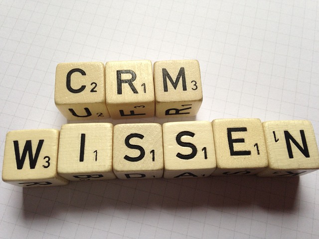 # Obtén tu Plantilla CRM Excel Gratis y Organiza Tu Negocio