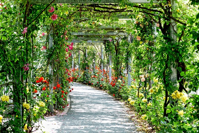 Cottagecore Gardens: Cultivating Nostalgic Charm in Modern Backyards