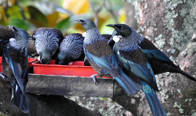 Entdecken Sie die Welt mit Reise TUI