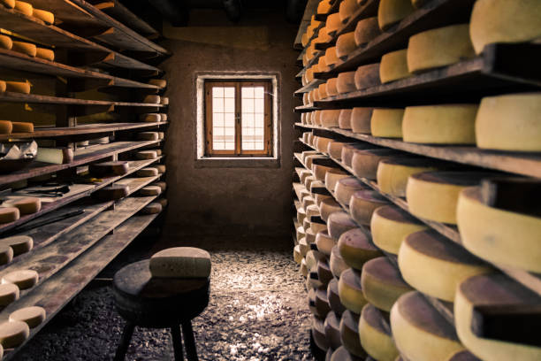Delving into the World of Artisanal Cheeses: A Global Journey