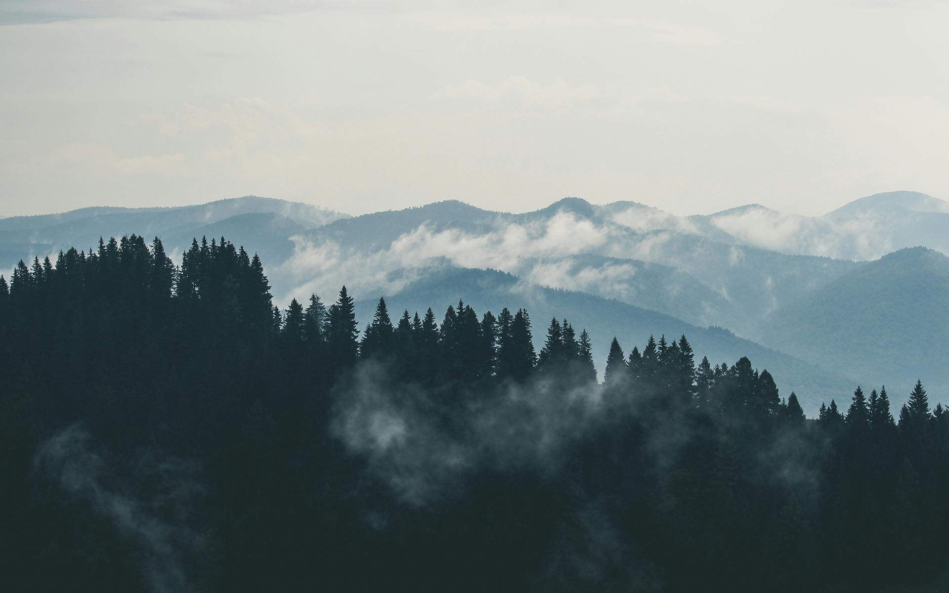 The Unseen Benefits of Altitude Training for Beauty and Fitness