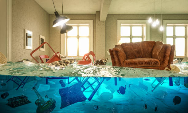 "Innovative Indoor Water Features: An Emerging Trend in Home Decor"