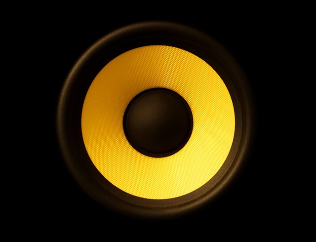Looking for Speakers with Payment Options? Here’s What’s Available