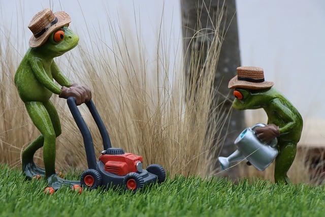 Essential Lawn Services for a Lush Yard