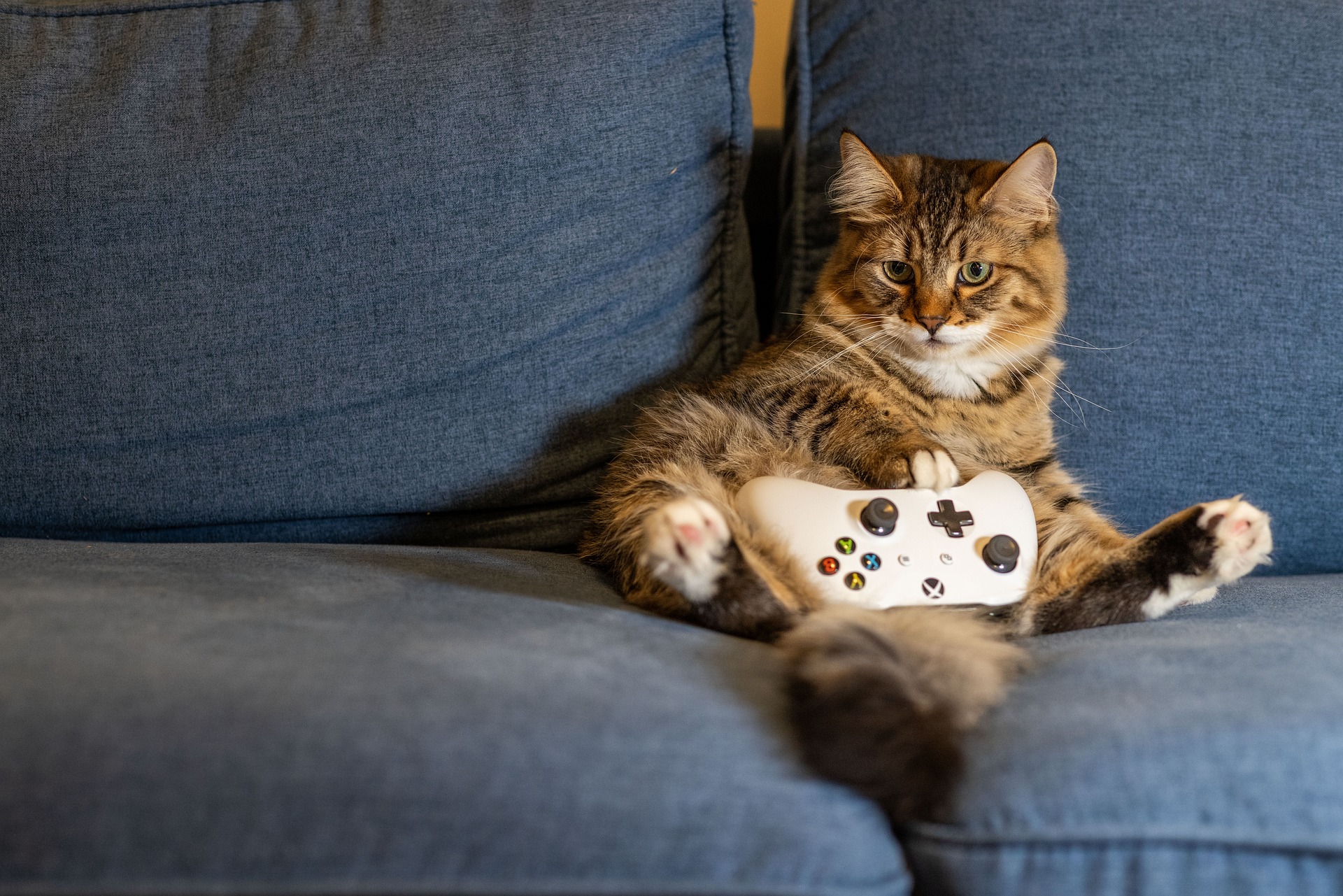 The Blurring Lines: Convergence of Cloud Gaming and Netflix-style Subscriptions