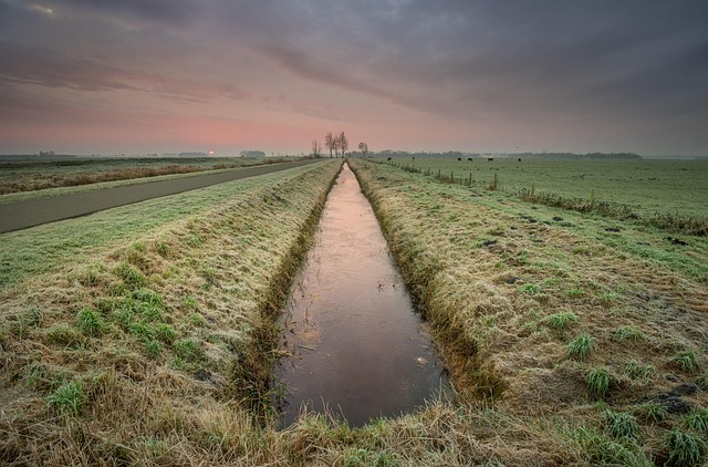 Système de Drainage et Irrigation : Une Révolution Aquatique