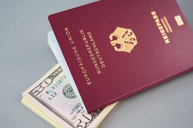 Navigating Canada Immigration: Key Options and Legal Processes