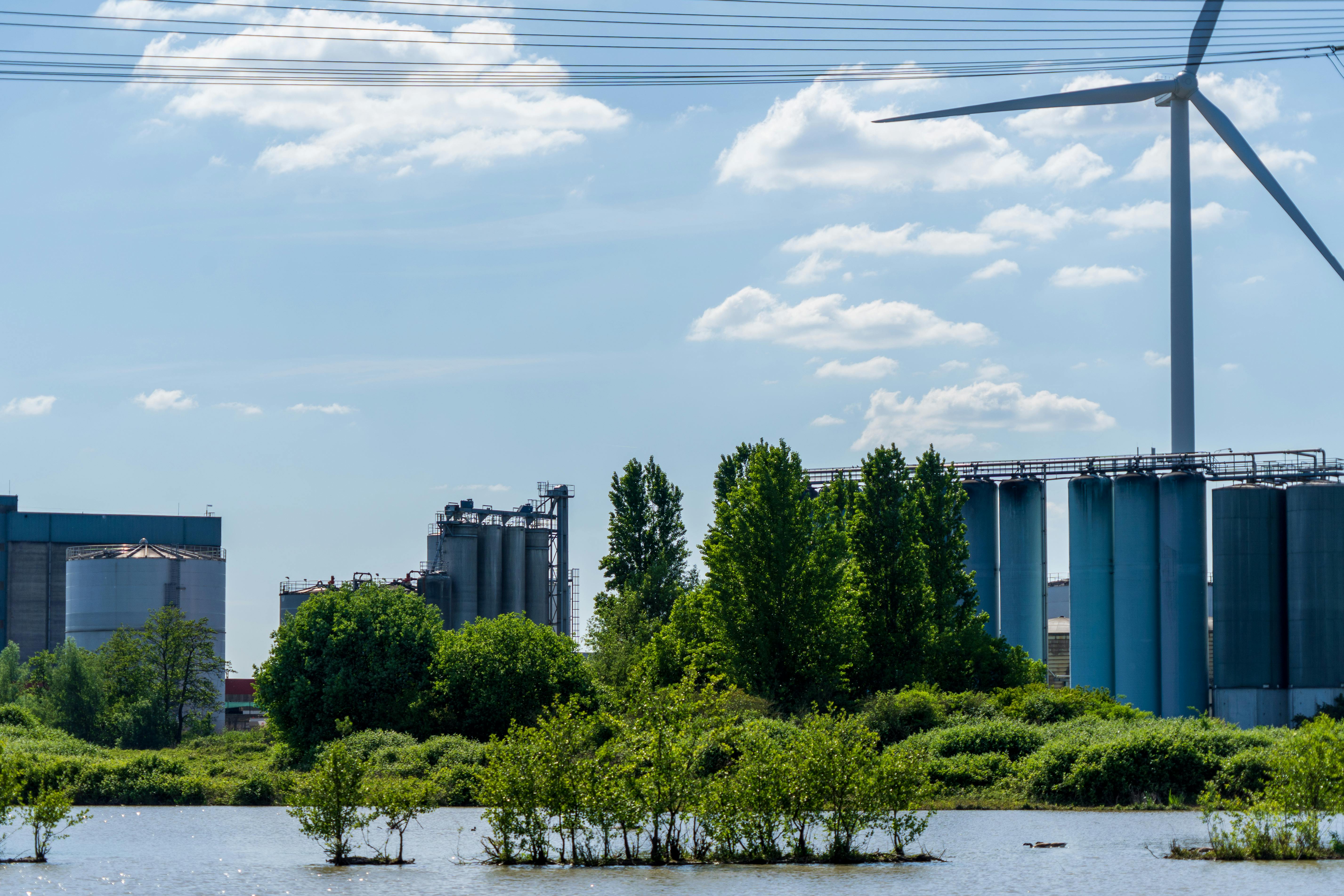 Pioneering Strategies: Reinventing Business Growth through Industrial Ecology