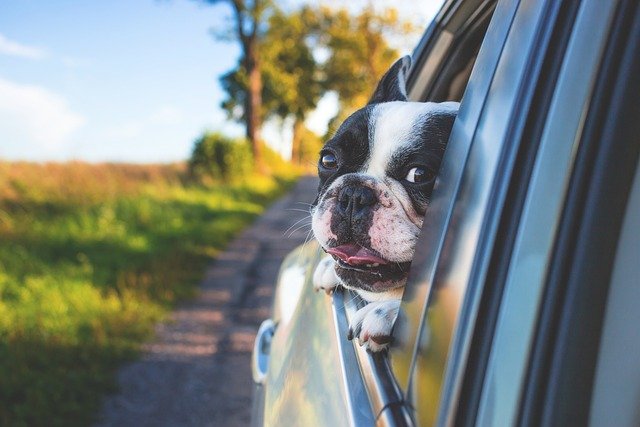Understanding Car Window Tinting Prices for Your Vehicle