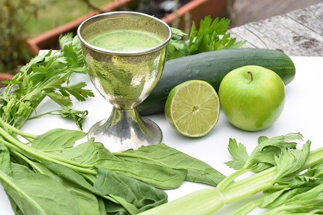 The Power of Plant-based Diet in Disease Management