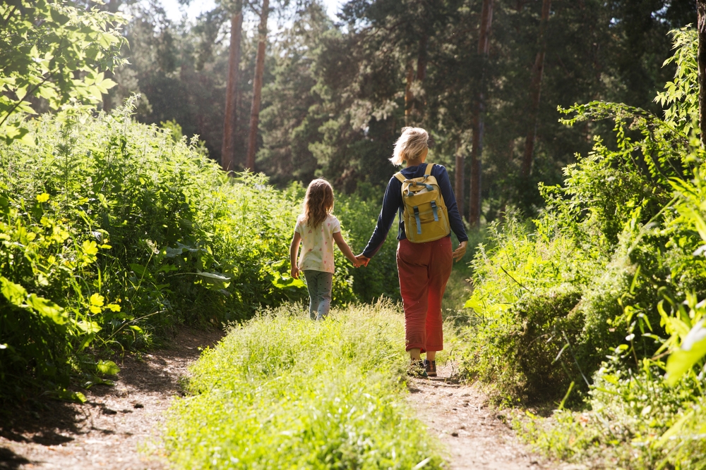 Unearthing the Benefits of Forest Therapy: Nature’s Answer to Modern Stress