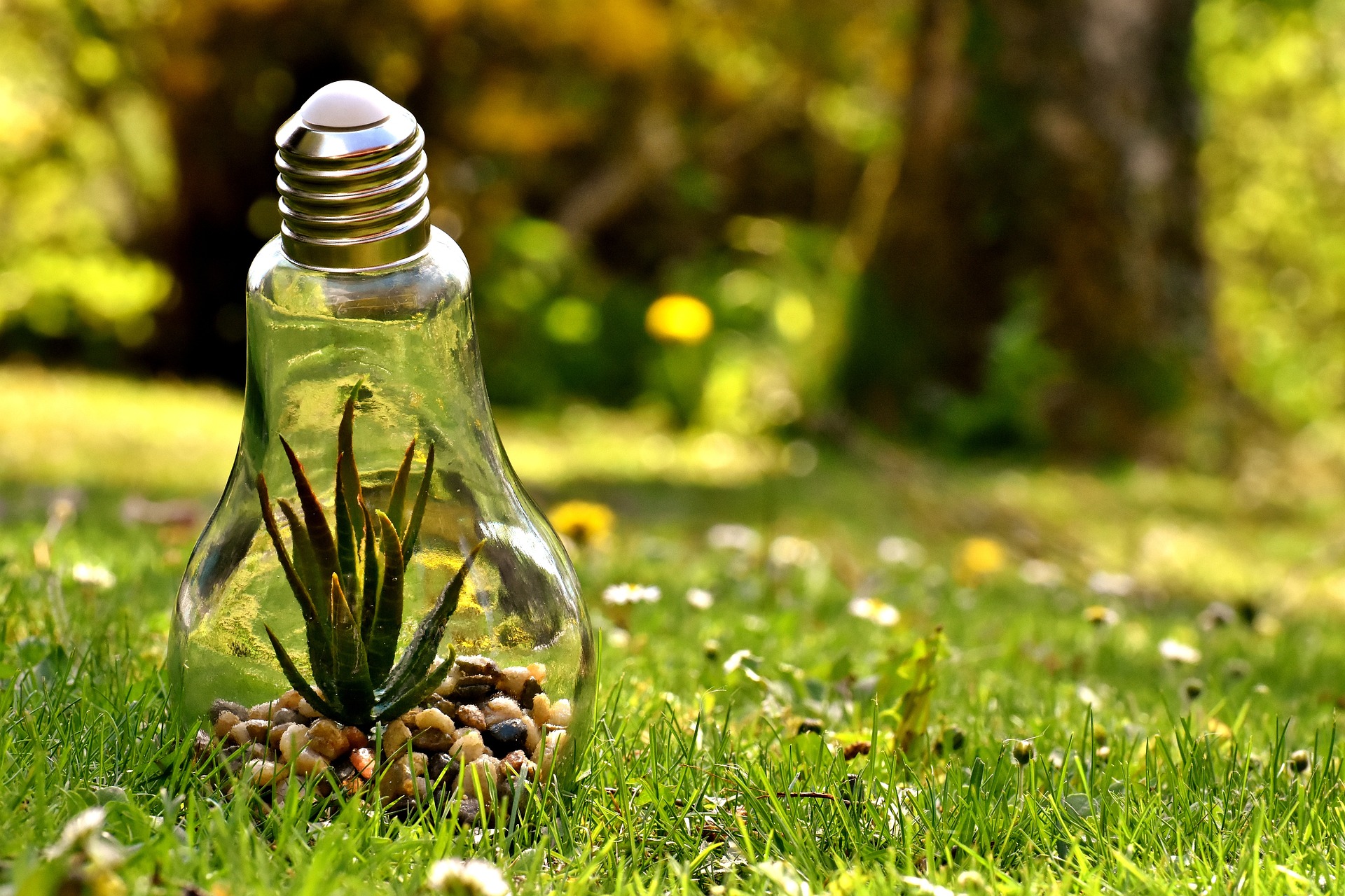 Exploring Environmental Law