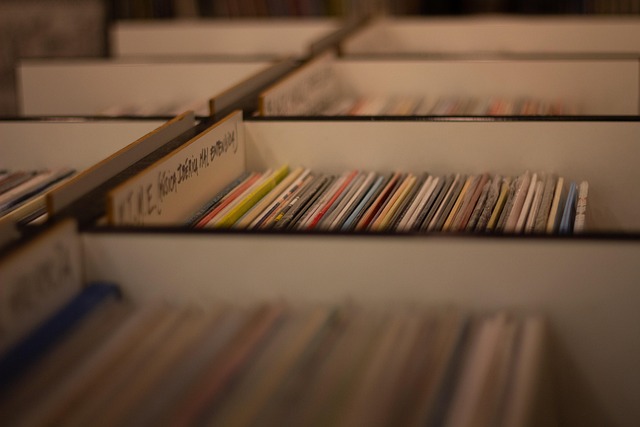 Unleashing Creativity with Vinyl Lettering