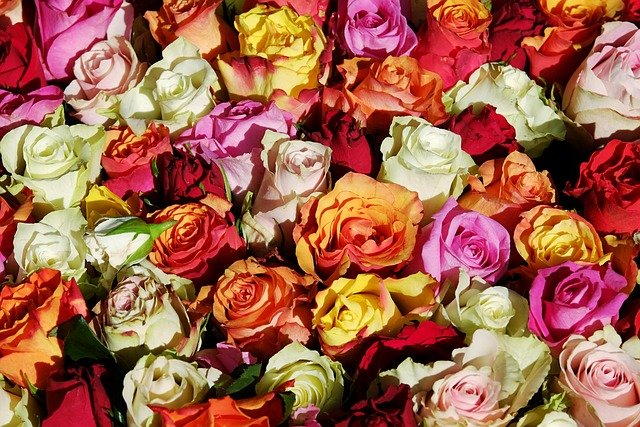Floral Foam Alternatives: Blooming Innovation in Sustainable Floristry