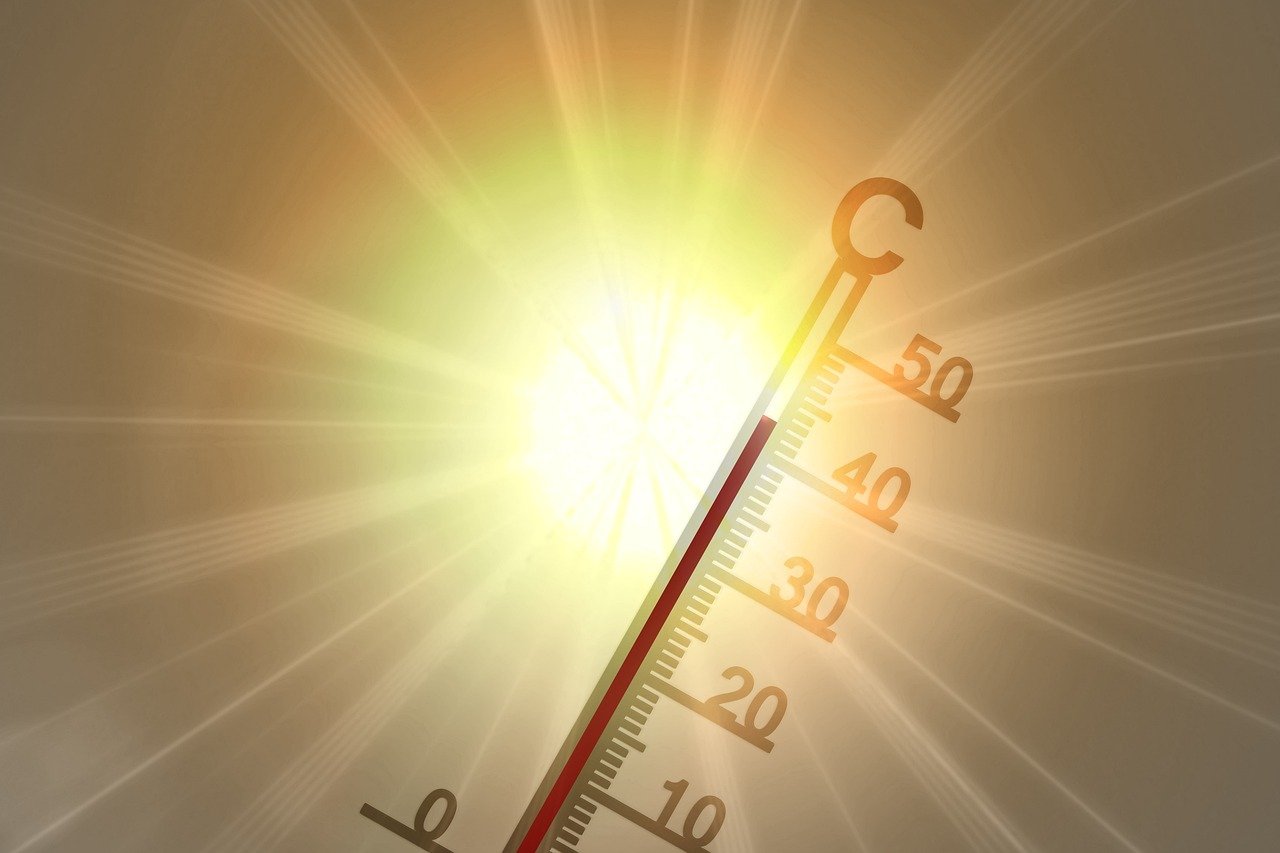 Understanding the Shift in Global Climate Legislation