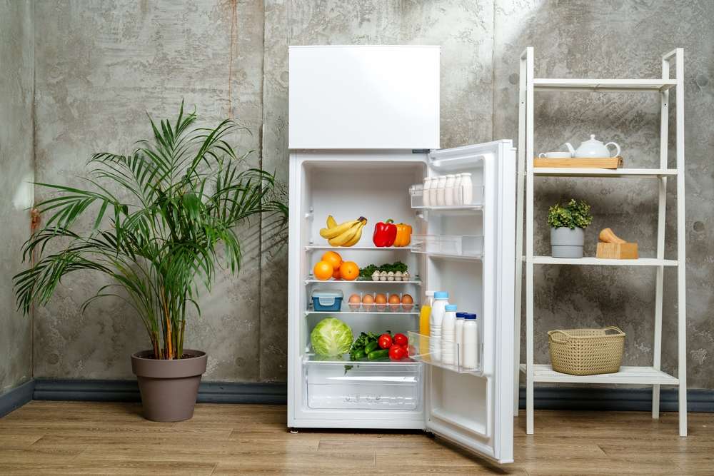 Rozwiązania dla świeżości żywności w lodówkach 180 cm