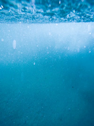 Unraveling the Health Potential of Blue Zones: Lessons in Longevity and Wellness