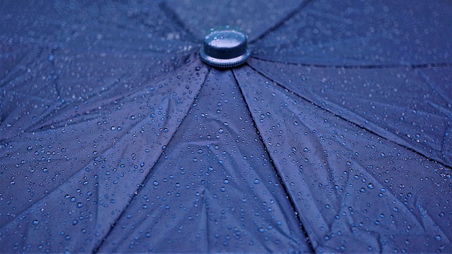 Waterproof Phone Pouch: Uses, Selection, and Maintenance