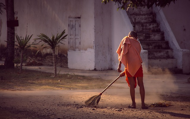 Unlocking the Benefits of Colon Broom