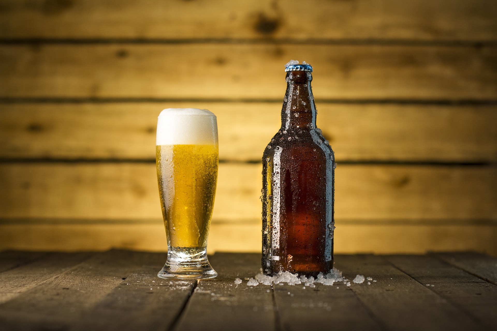 Sipping Through the Craft Beer Renaissance: A Dive into America's Hoppy Revolution