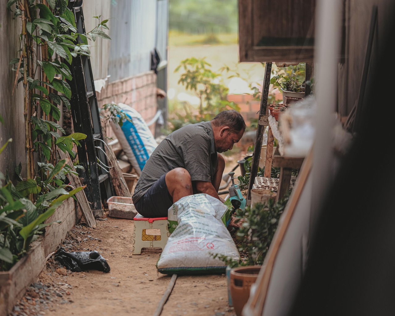 The Cultural Resurgence of Backyard Gardening: A Sociological Examination