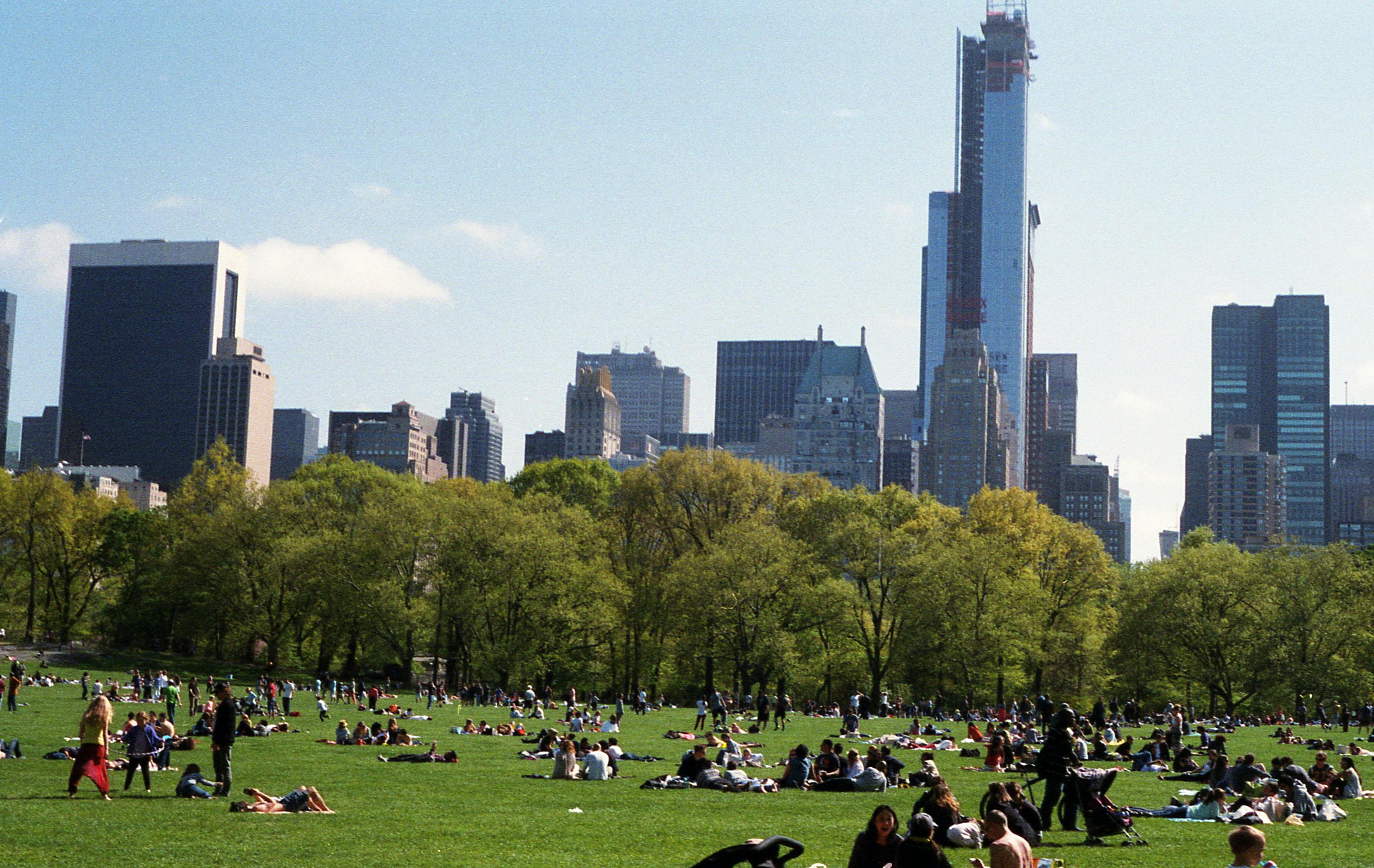 Understanding the Impact of Green Spaces on Urban Health