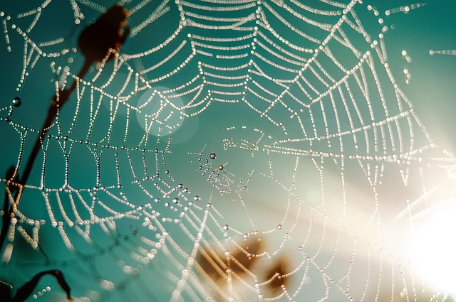 Creare il Tuo Sito Web Gratis: Una Guida Pratica