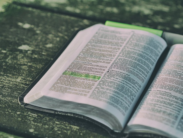 Discovering Bible Study Fellowship Online: A Guide