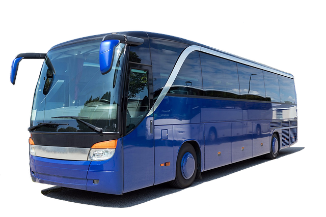 Slaapbusbelevenissen: Een Nieuwe Manier van Nachtelijk Reizen