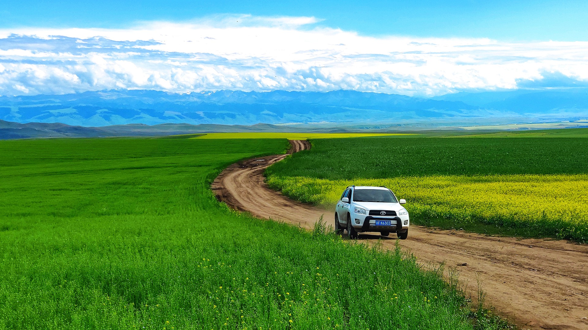 The Rise of Electric Vehicles in Modern Travel