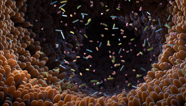 Discovering the Unseen: The Power of Microbiome Diversity for Immune Health
