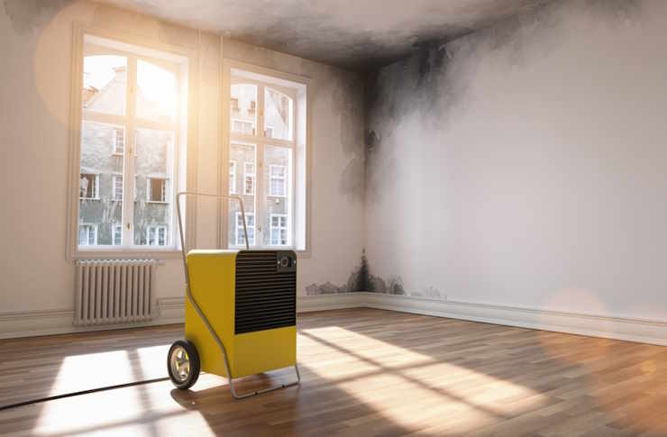 Water Damage Repair, Remediation & Restoration Services in the United States