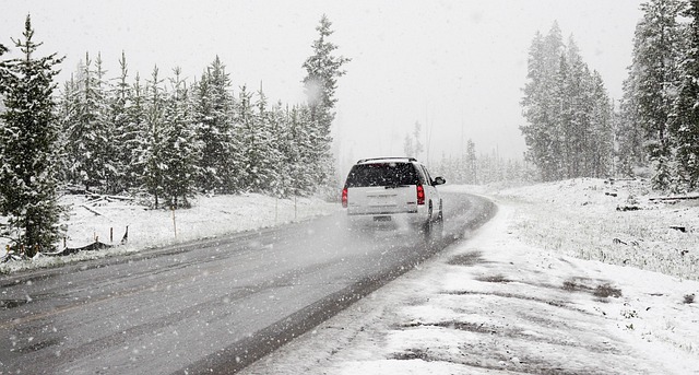 Driving Education Made Easy: Choosing the Best Path