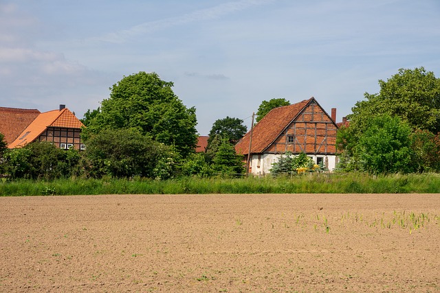 Immobilienbewertung: Alles, was Sie wissen müssen
