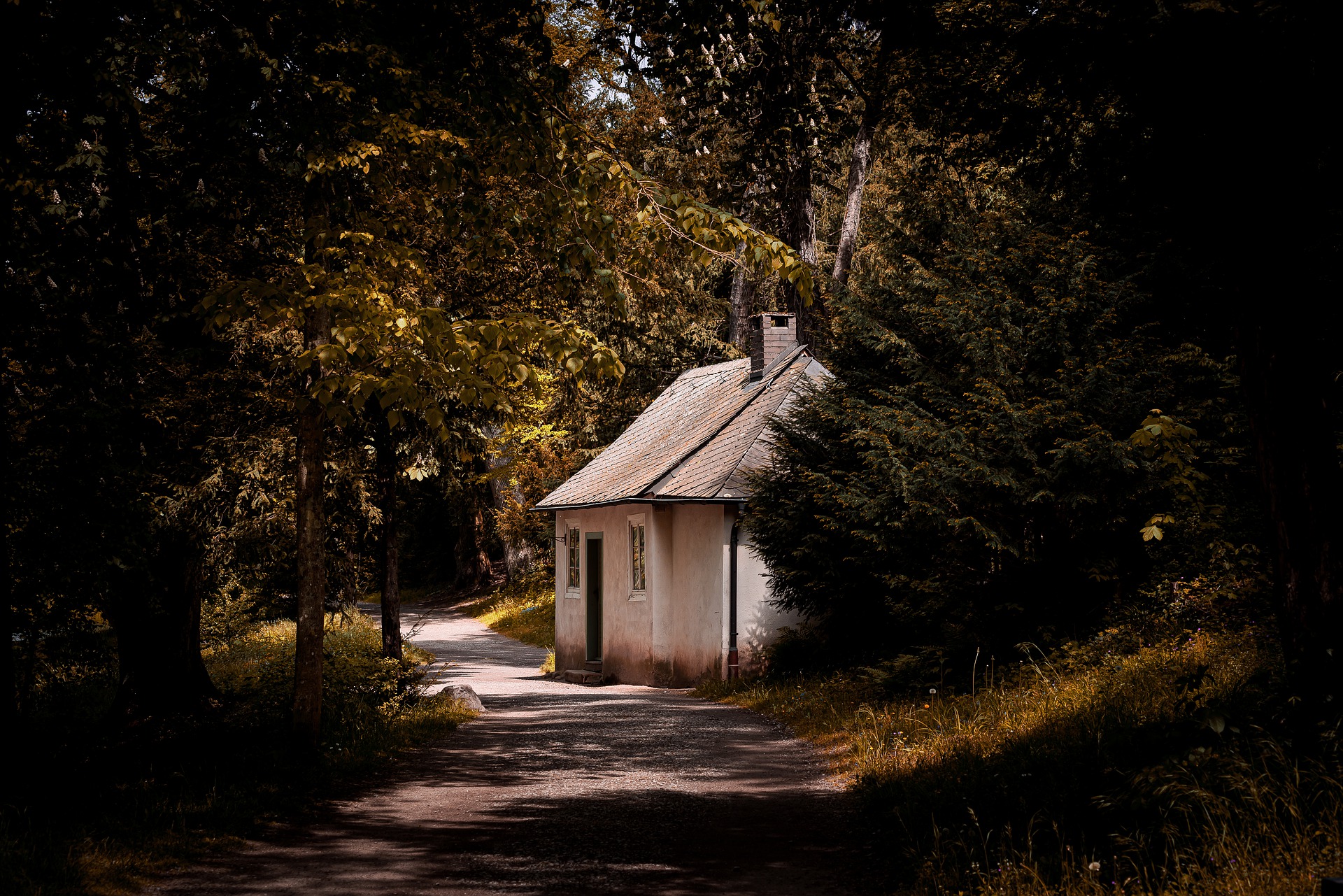 The Cozy Cottagecore Trend: Transforming Homes with Vintage Charm