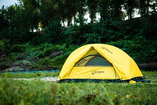 Unearthing the Art of Foraging Vacations: A Culinary Adventure in the Wild
