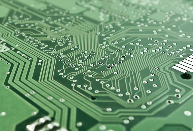 Why Choosing a Homeagain Microchip Is a Smart Move