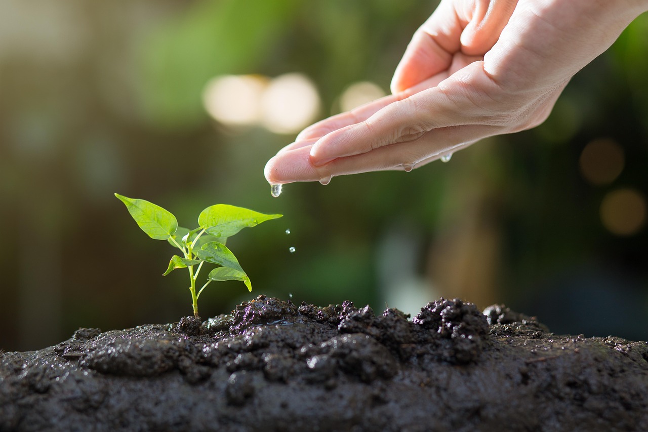 The Benefits of Urban Gardening